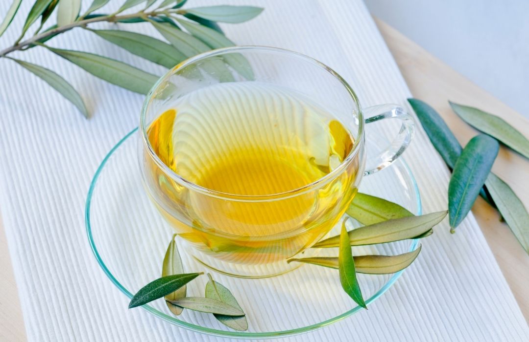 Infusión de Hoja de Olivo Propiedades y Beneficios REPLANTEA®