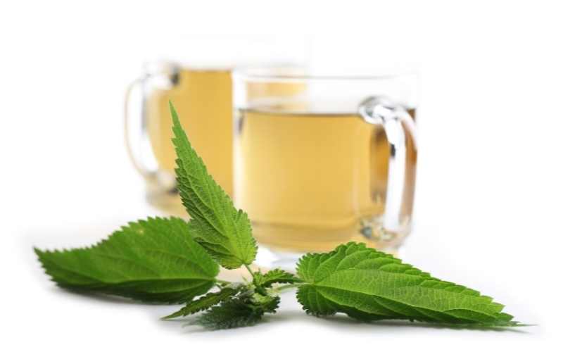 Infusiones de Ortiga
