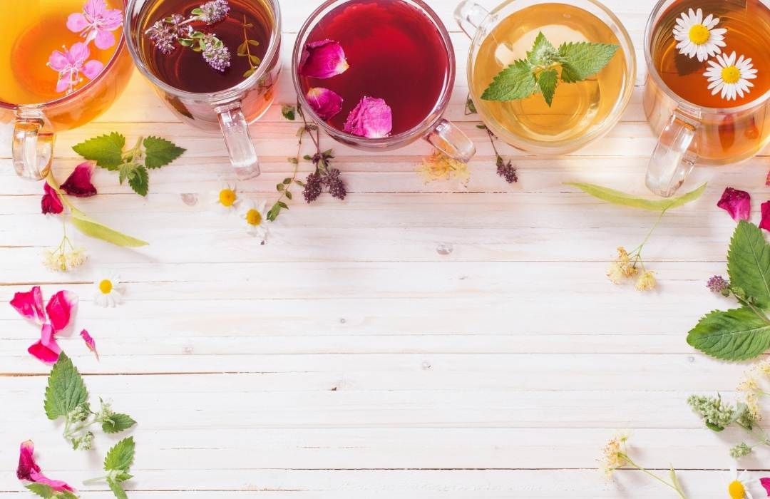 Las Mejores Infusiones para Adelgazar Disfrutando el Proceso