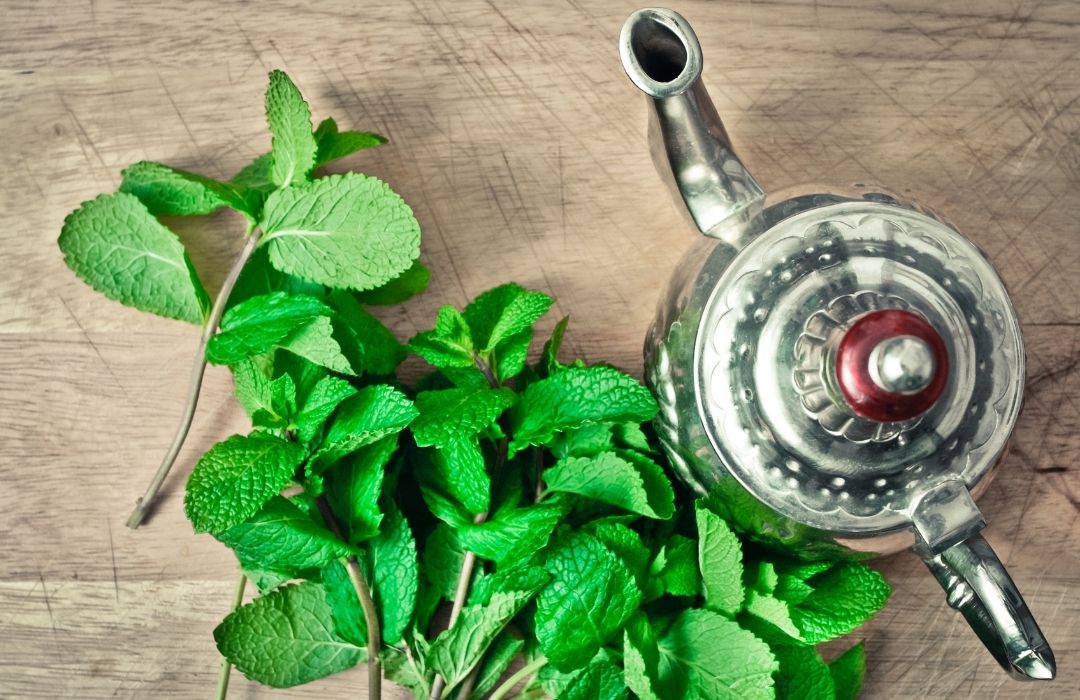 Té moruno y menta fresca