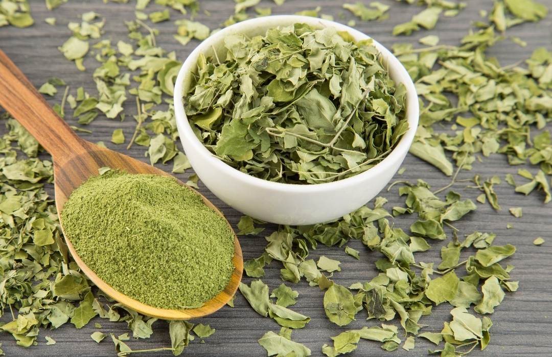 Infusión de moringa