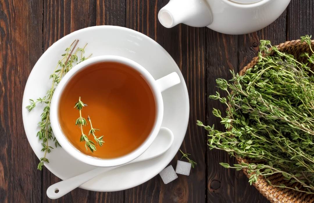 Infusiones de tomillo para la tos