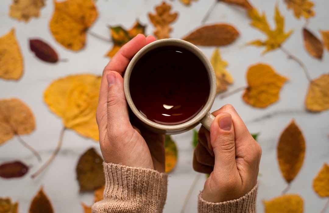 Los 8 Mejores Tés para el Otoño