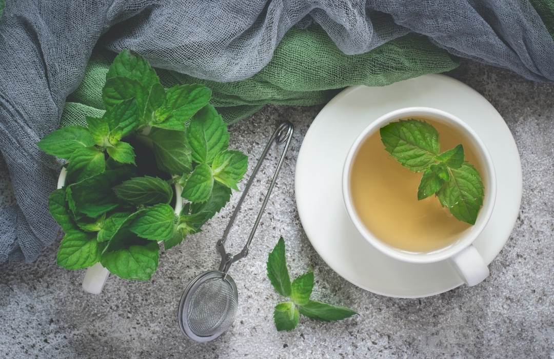 Infusión de menta