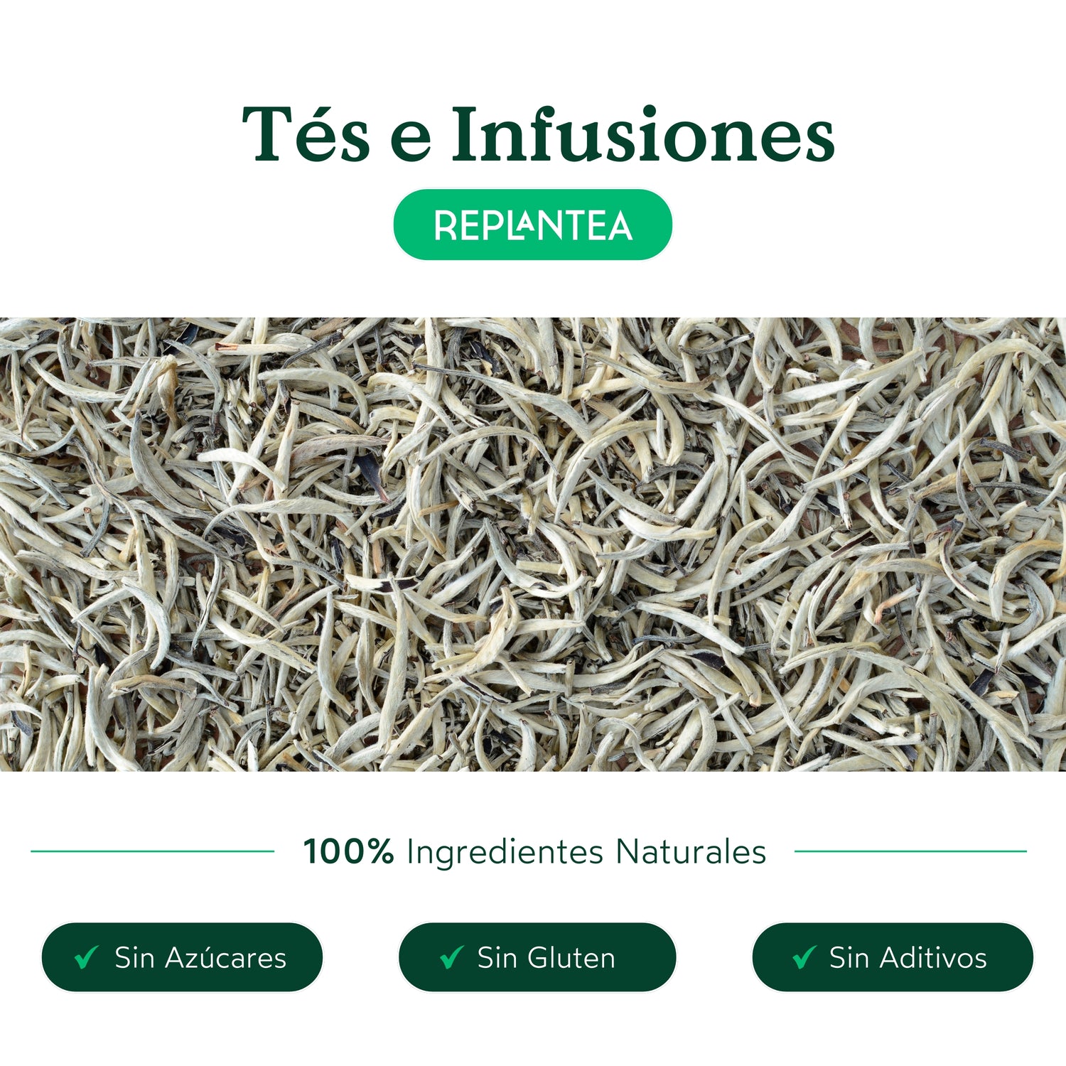 Pai Mu Tan Chá Branco Orgânico 50g