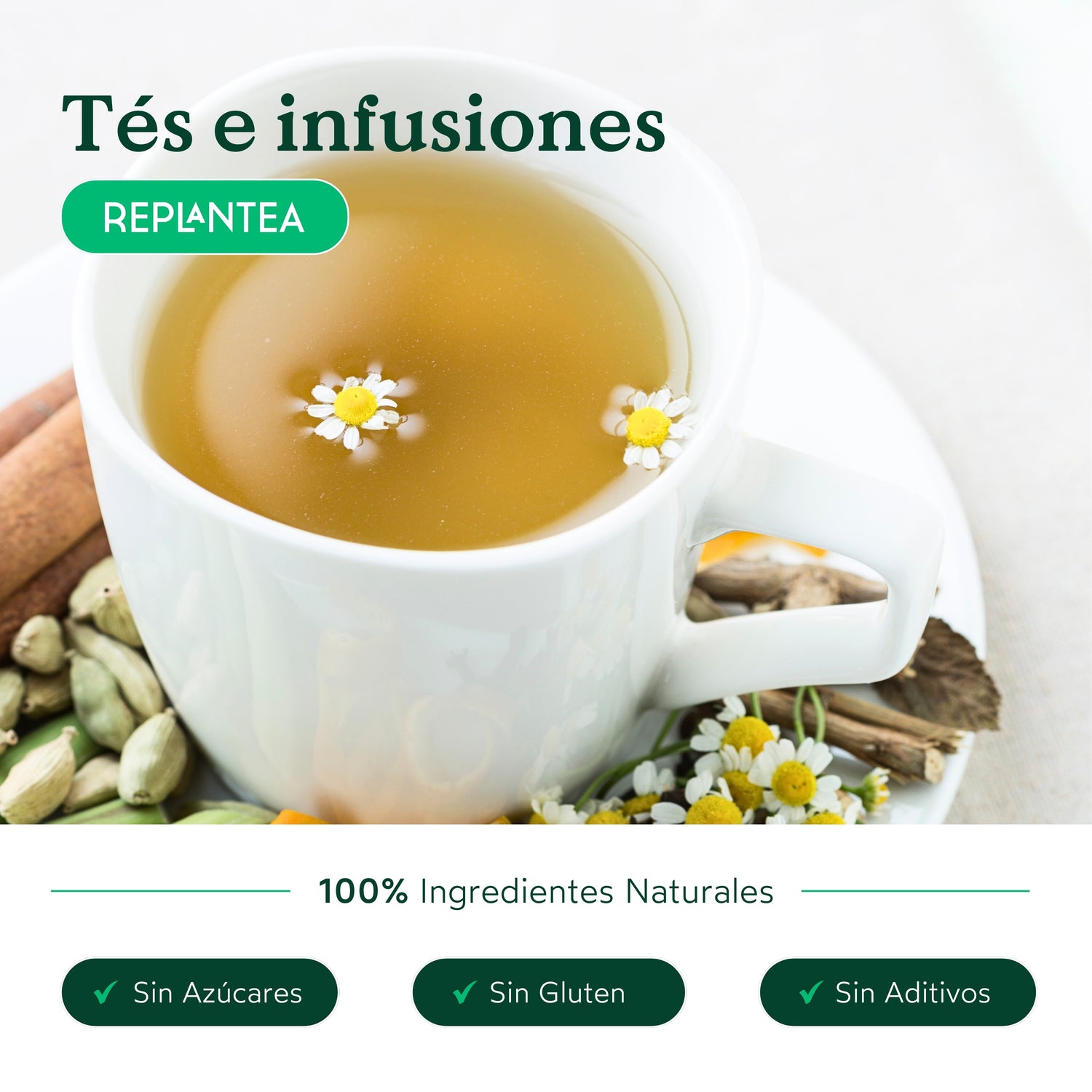 Chá Verde Detox Orgânico 100g