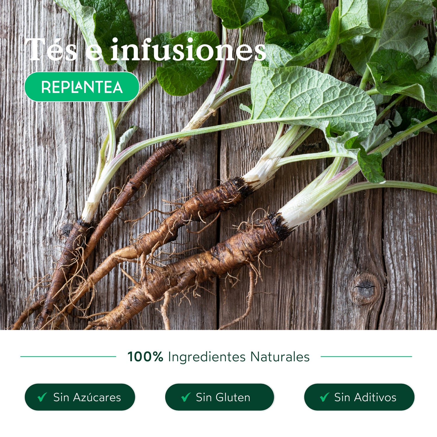 Infusión de Raíz de Bardana Ecológica 200g