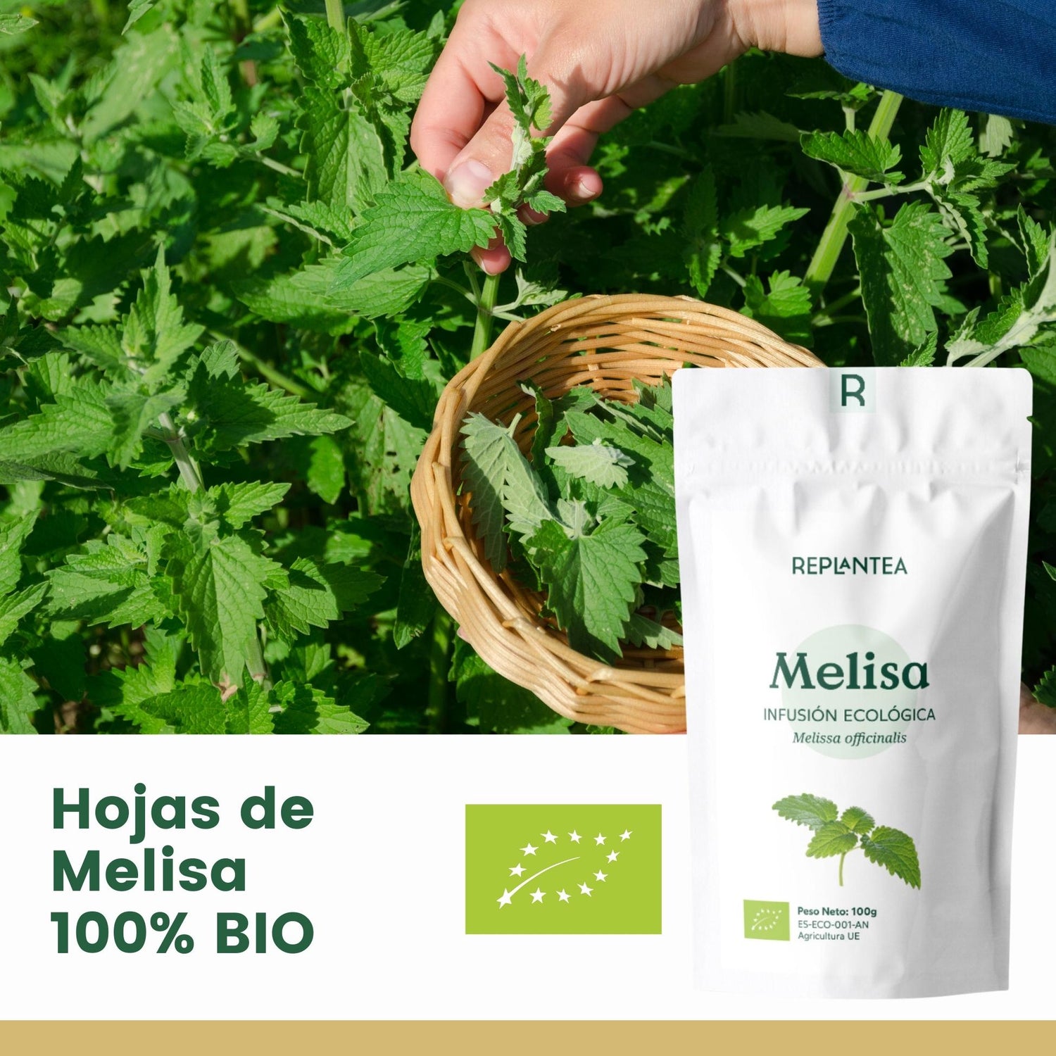 Infusão de erva-cidreira biológica 100g