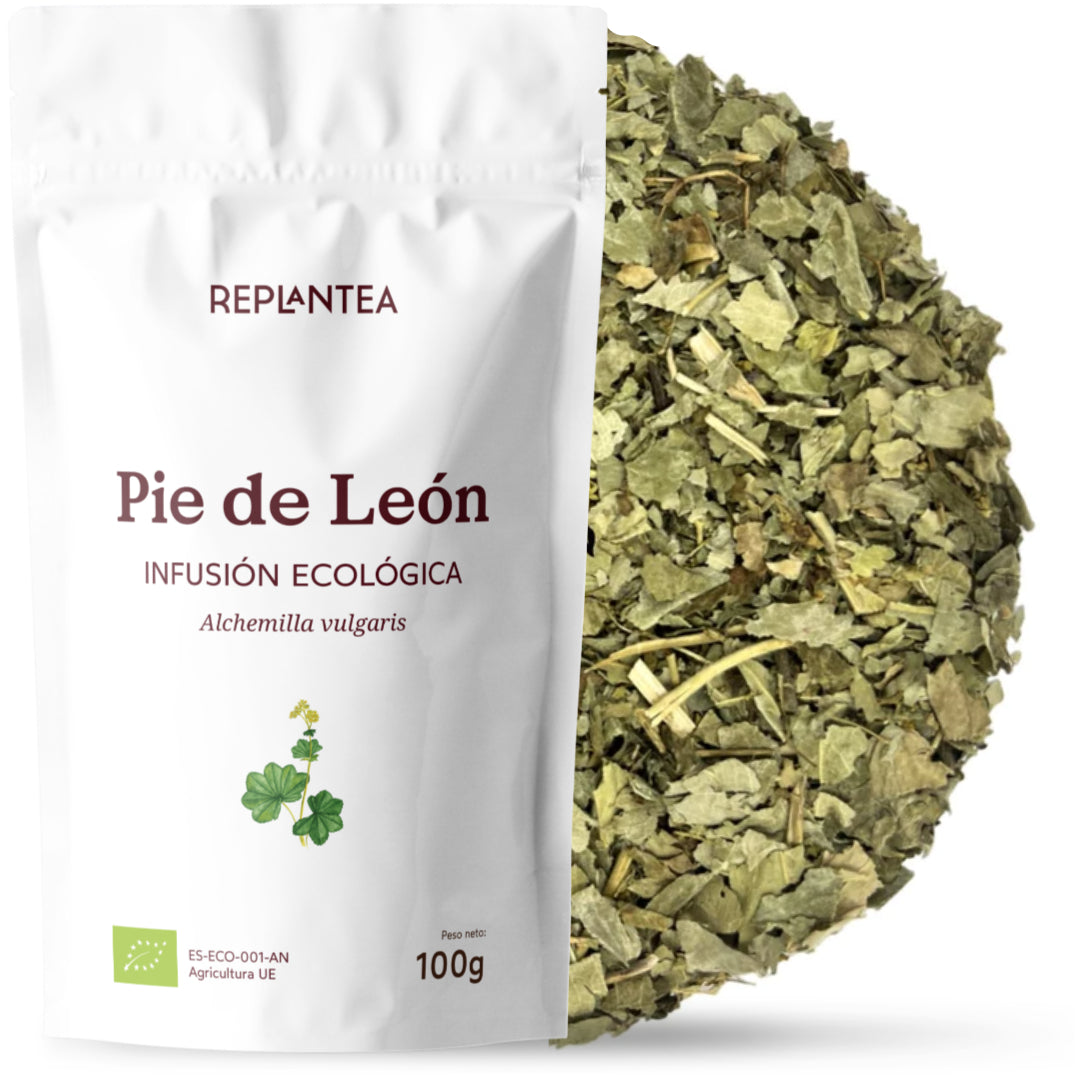 Infusão de Pé de Leão - Manto de Senhora Orgânico 100 gr