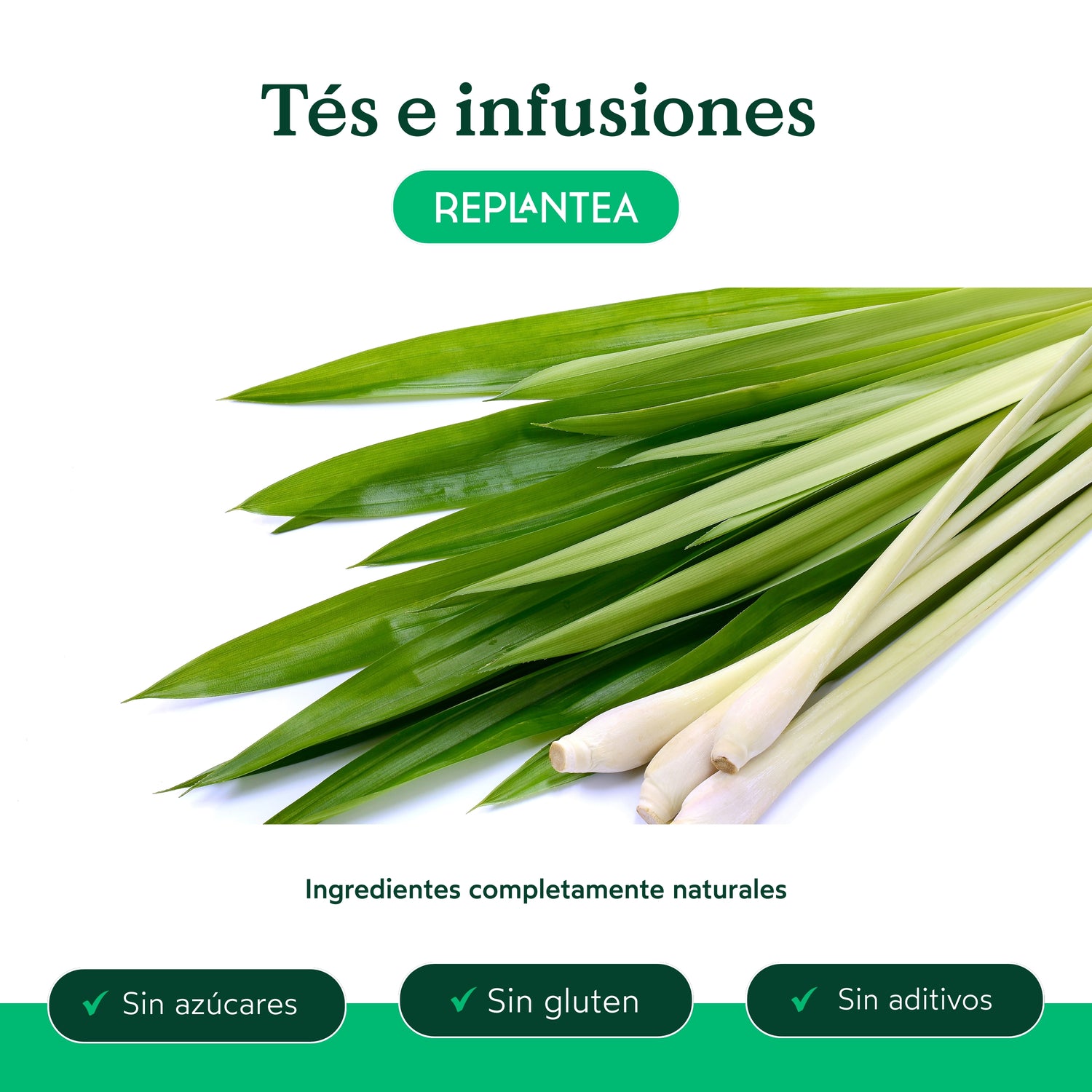 Organic Burdock Root Infusion 200g