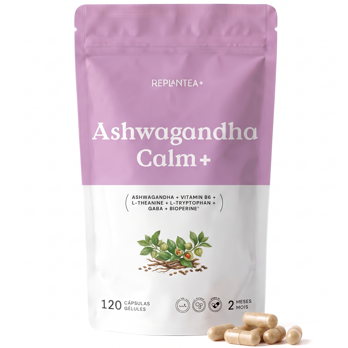 Ashwagandha Calm+ · Ashwagandha 25:1, L-Teanina, L-Triptófano, GABA, Vitamina B6 y BioPerine® · 120 cápsulas