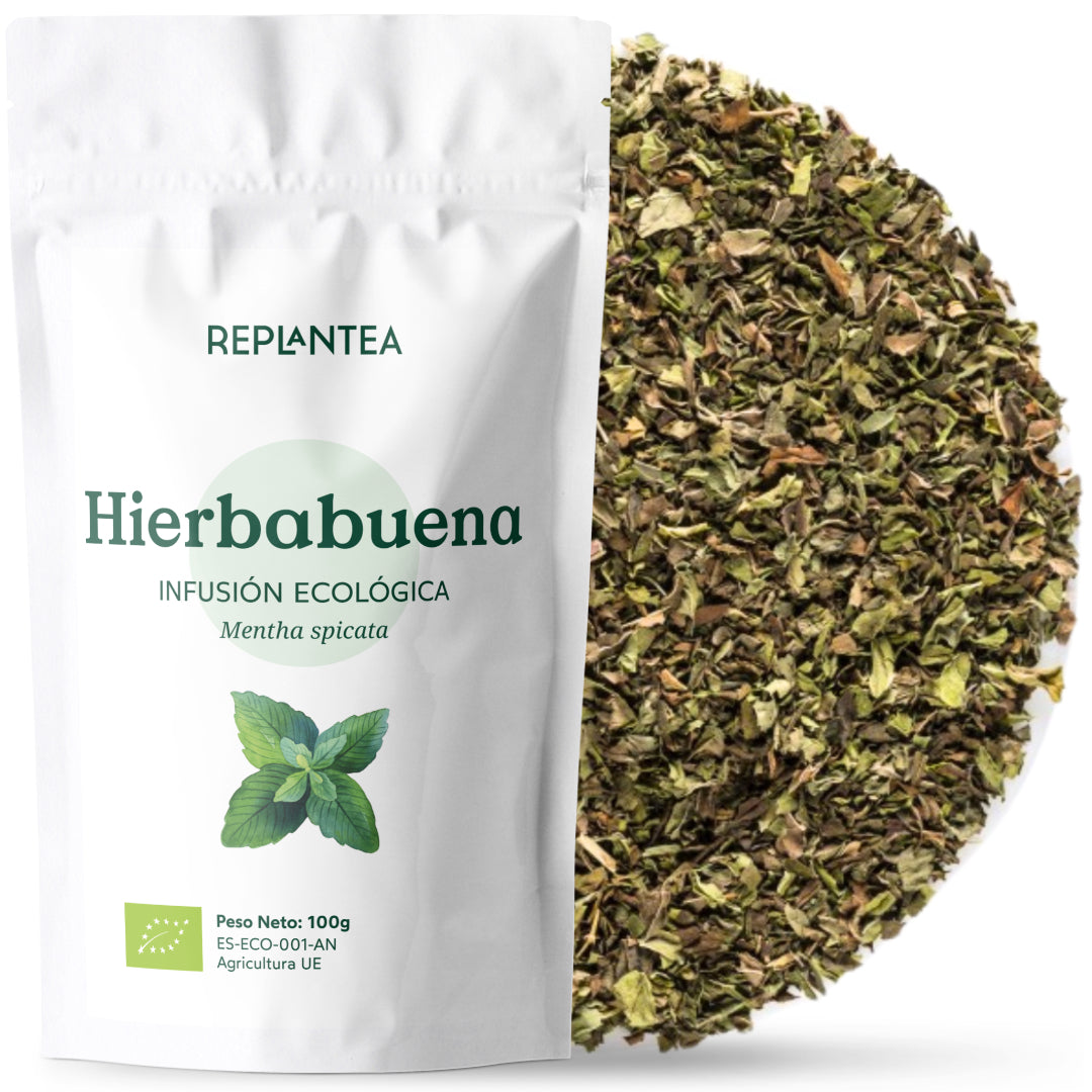 Infusão de Hortelã Biológica 100g