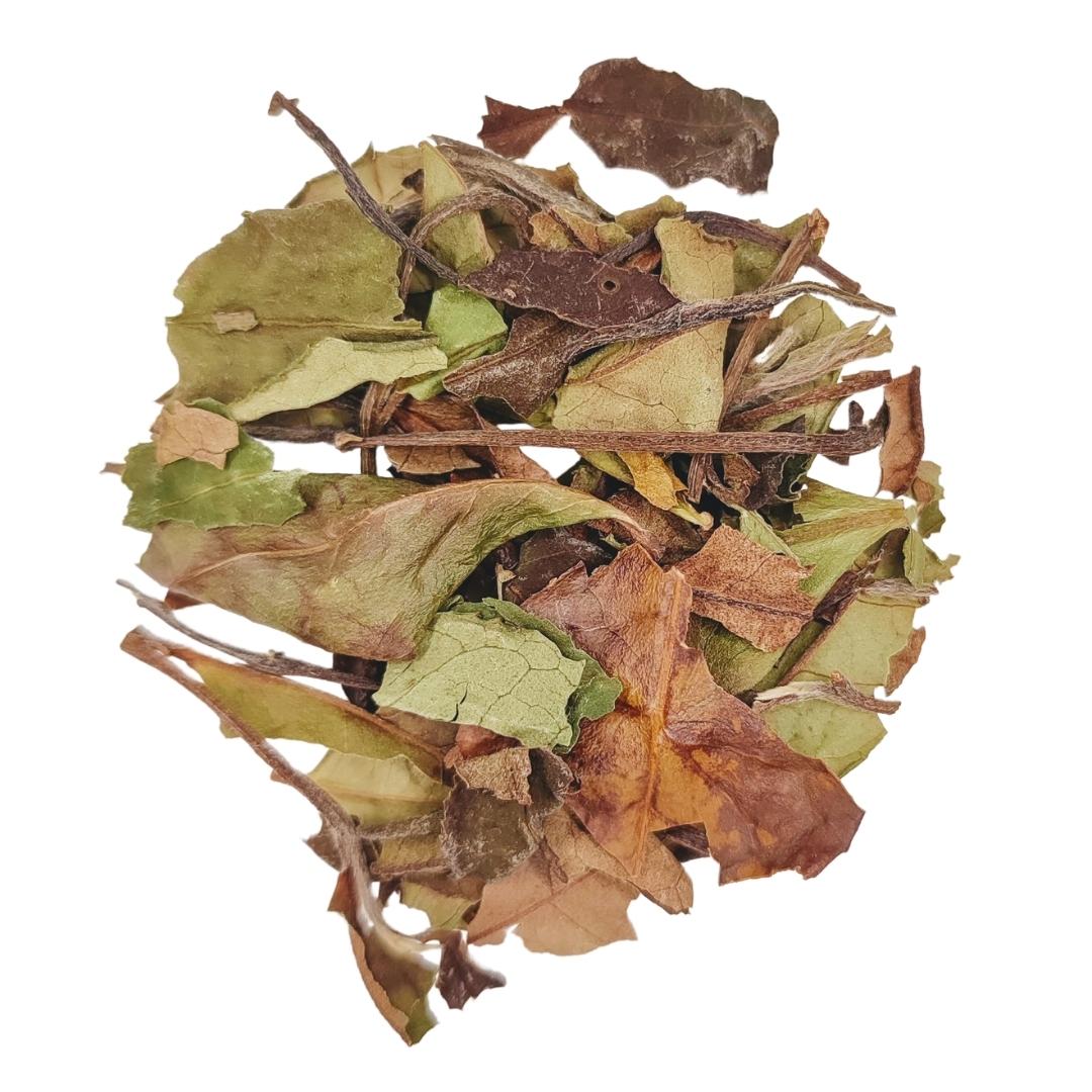 Té Blanco Pai Mu Tan con Lavanda Ecológico 50g